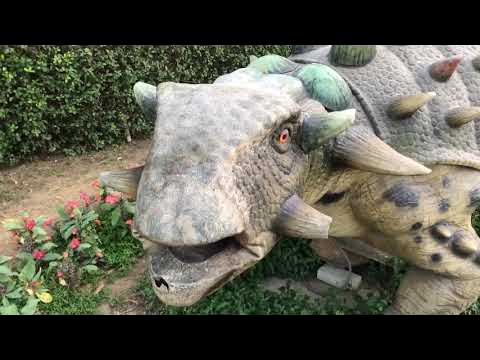 Jahangir Park | Beautiful Karachi 2021 | Dinosaurs | Birds | Flamingos | Peacock | Pakistan Zindabad