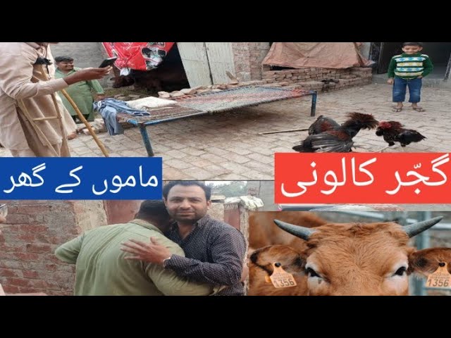 Gujjar colony mamo ke ghar #kafi dair bad@ Ahmad Aslam Vlog