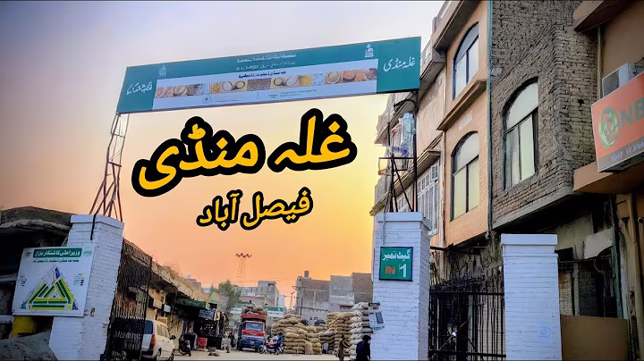 Exploring Grain Market Faisalabad | Faisalabad Ghalla Mandi Exploring #grainmarket #ghallamandi