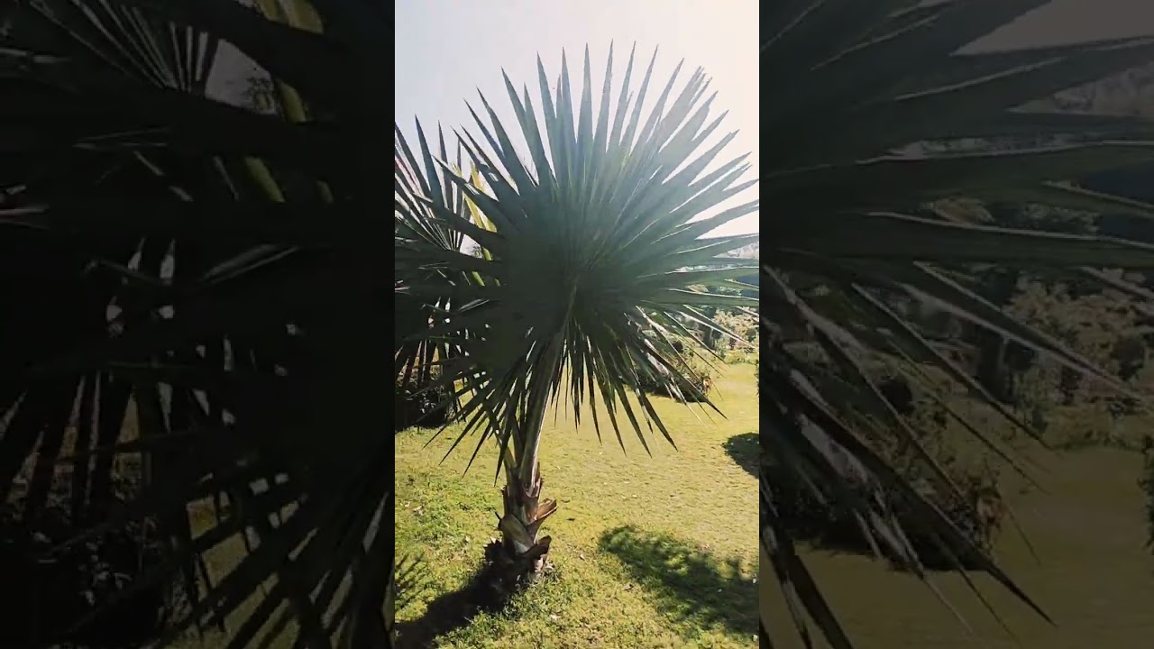 Motia Park Faisal Town GOR-5 Lahore - Part 3