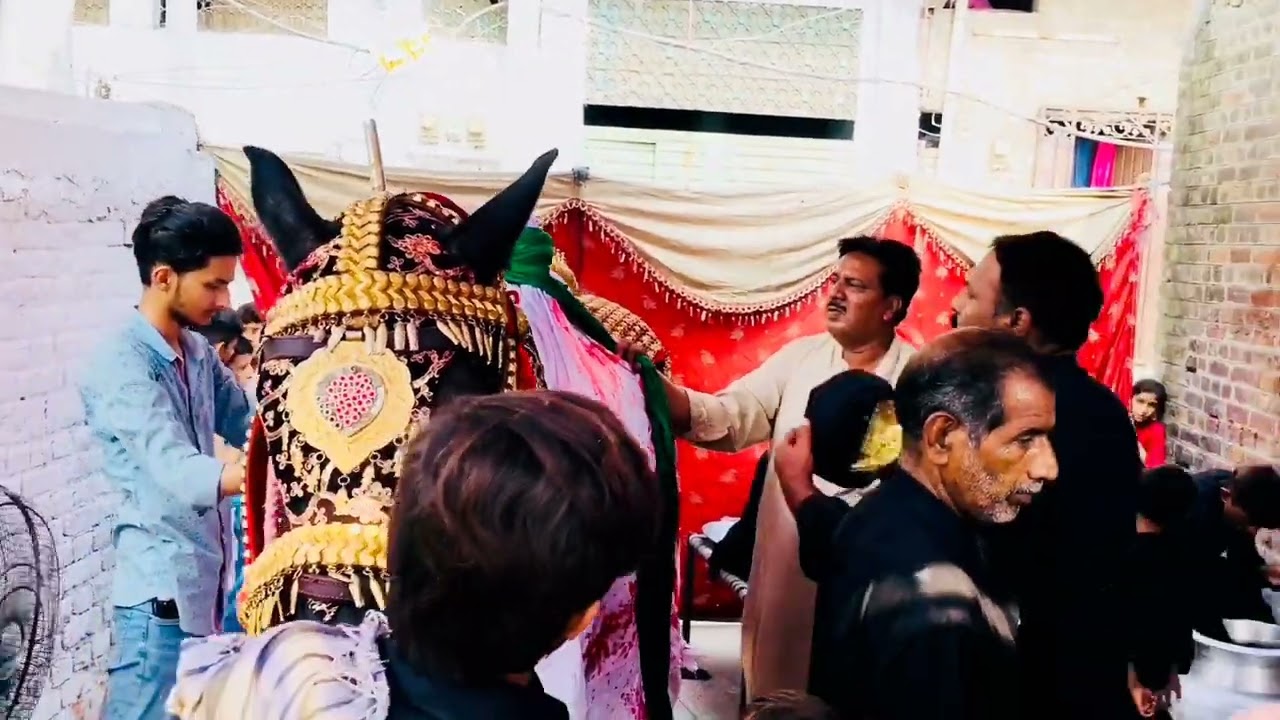 19 Safar 2022 Railway Wireless Colony Lahore Zuljanah Oqab Badshah