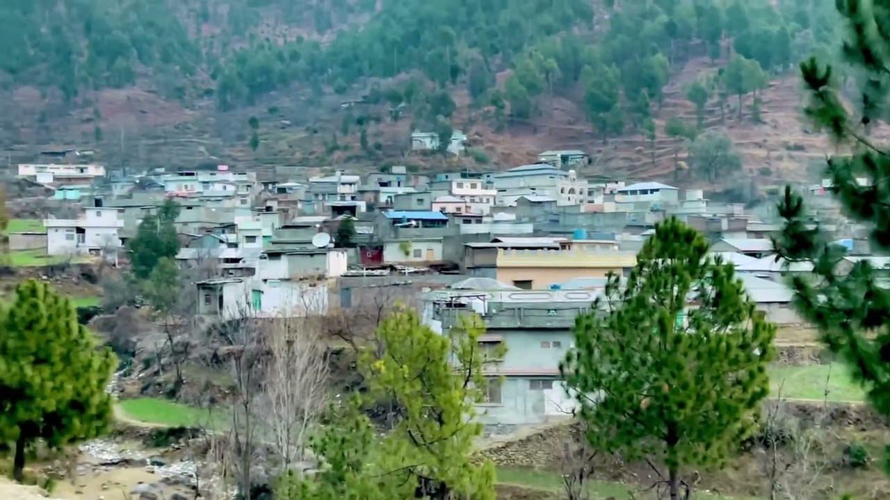 Cool day in Kotli Bala | Sheeraz Ahmad