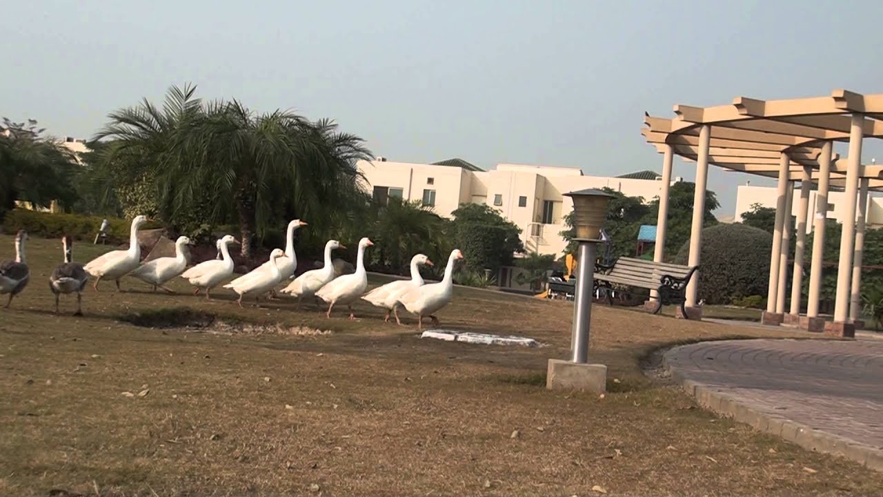 Tricon Village