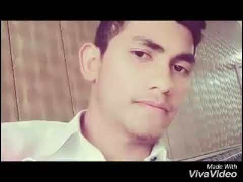 Lahore Qalander song  waris colony tigers