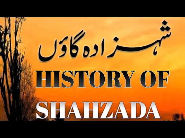 History of SHAHZADA VILLAGE || SHAHZADA Gawon KI TAREEKH