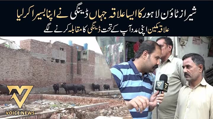 Sheraz Town Lahore Jahan Dengue Ne Apna Basera Kar Liya || Voice News