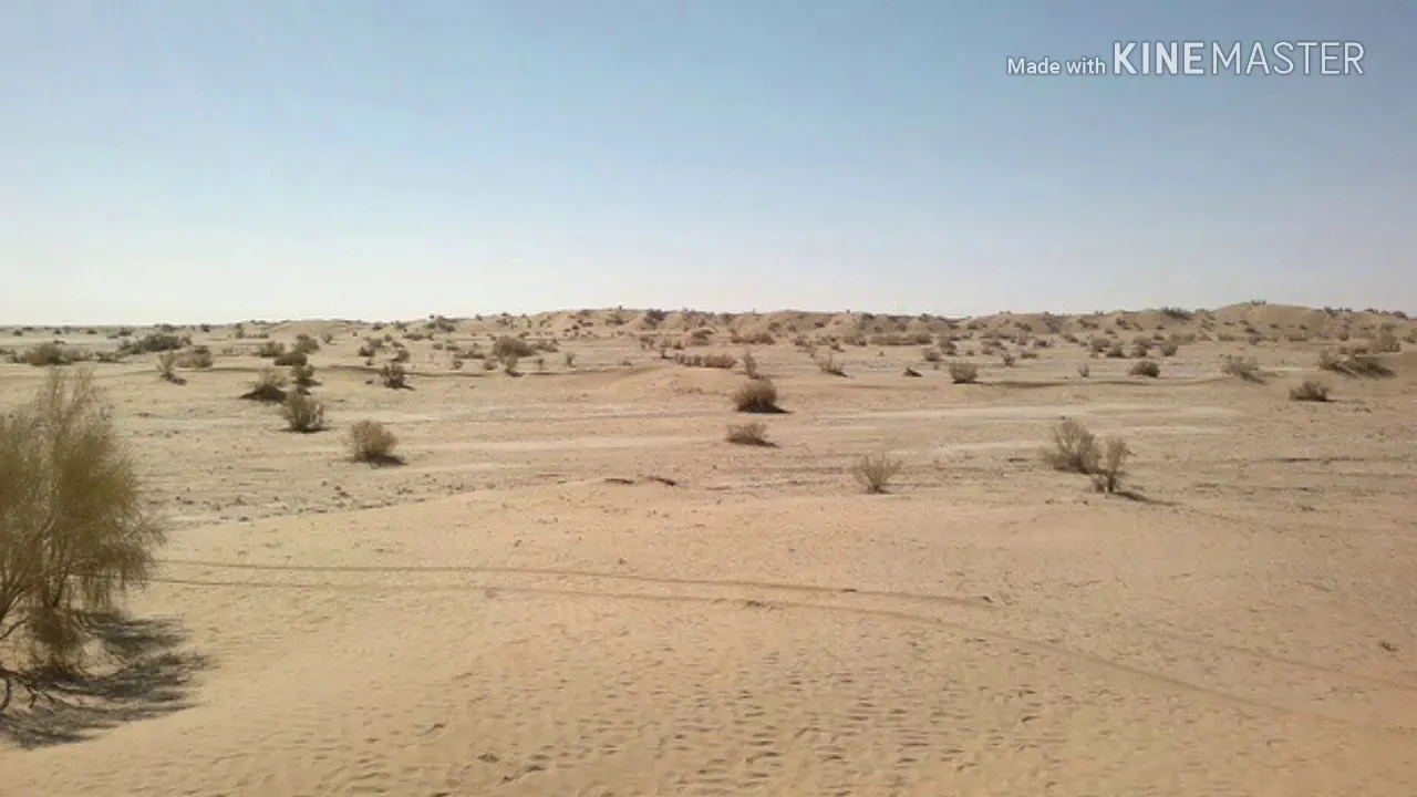 Gulshan e Madina