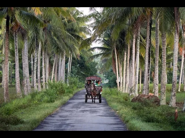 Eden Cottages Brand Video   Youtube
