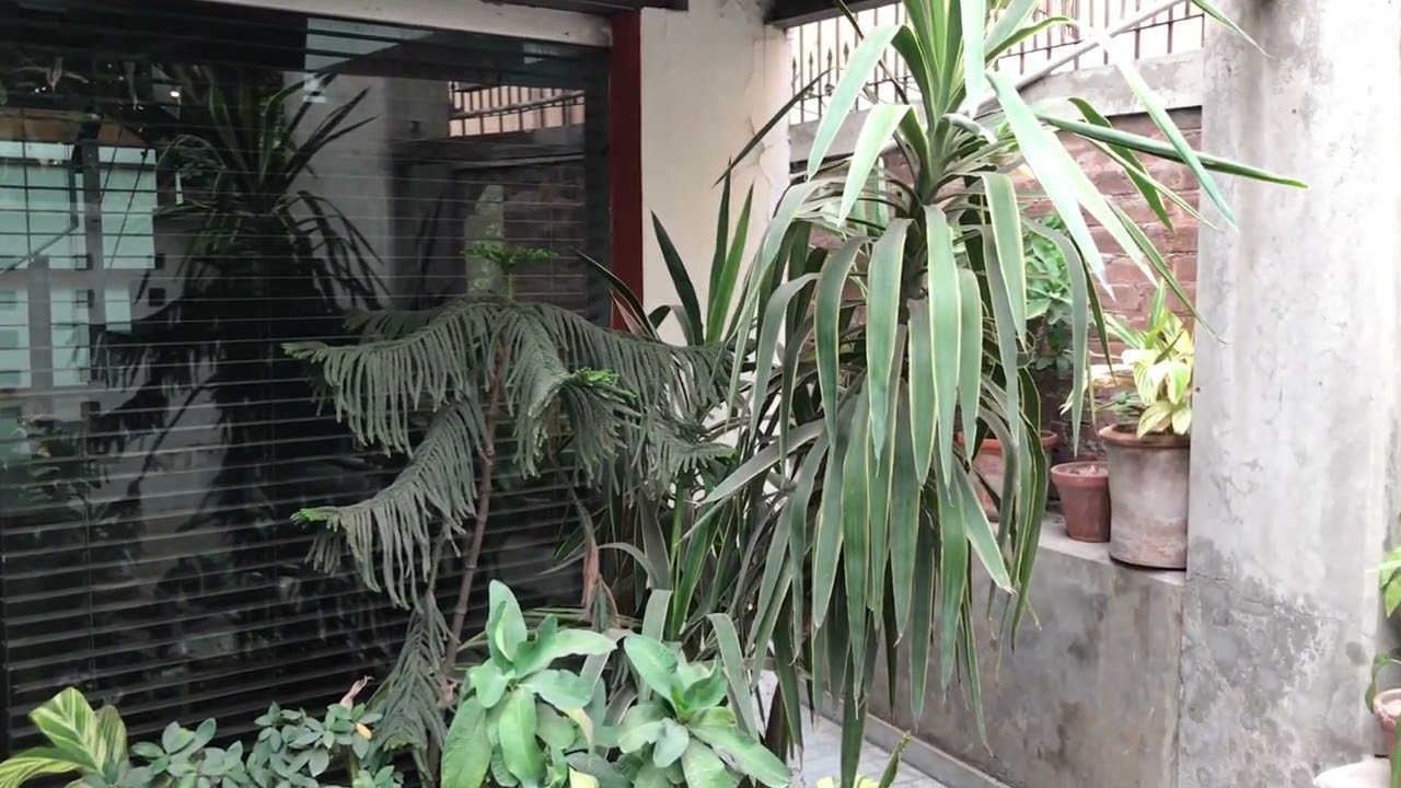 Mannan Associates at canal park gulberg II Lahoe