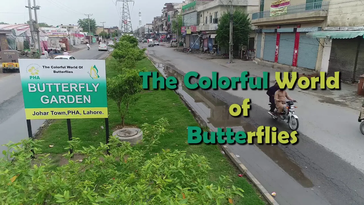 Butterfly Garden Johar Town Lahore