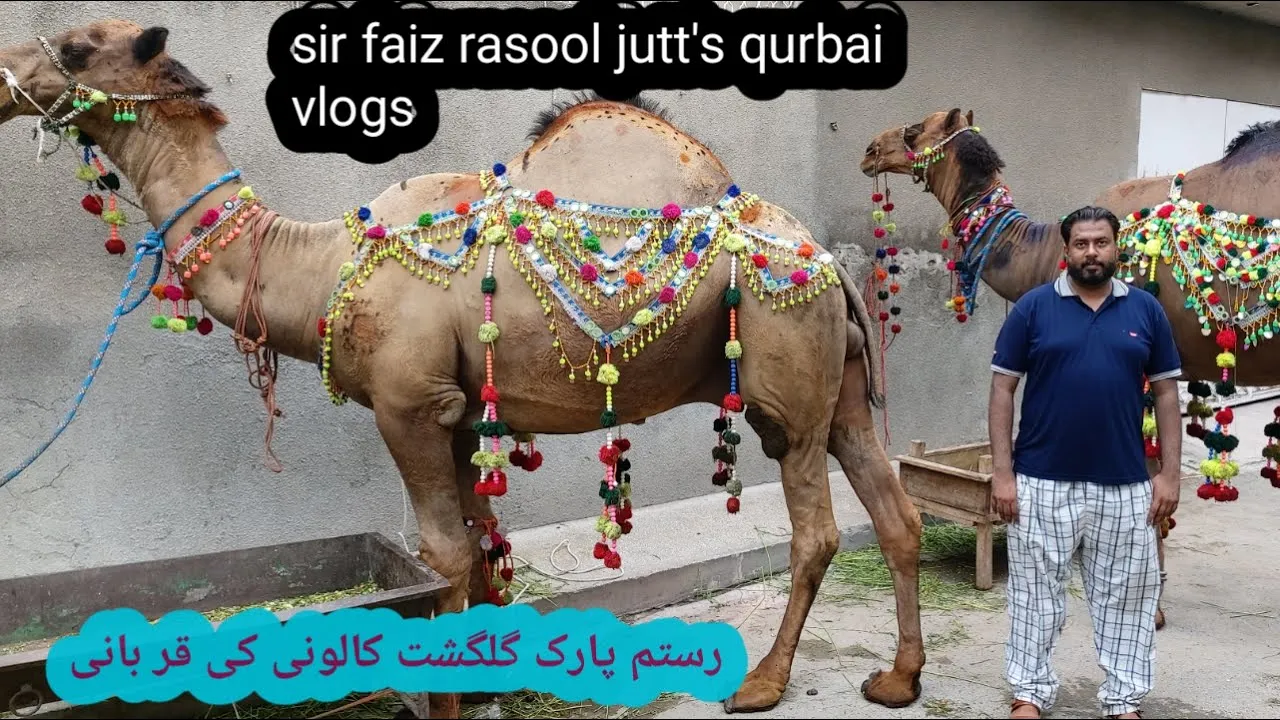 rustam park gulshan ravi k qurbani k khoobsoorat janwar/sir faiz rasool jutt's vlogs