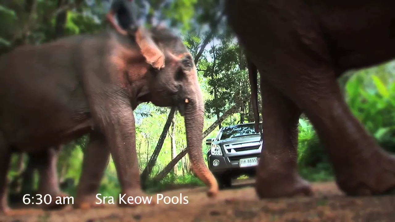 Eden Villas Krabi 2015