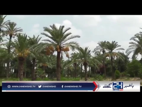Lahore ; Dilkusha garden in worse condition
