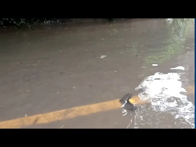 Rain Water accumulated in Rewaz Garden area | Lahore, Pakistan