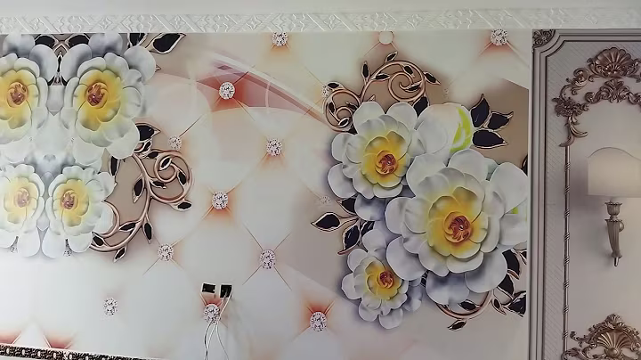 5D Wall Picture intstallatiin in Agrics Town Lahore Project Done By Ak Decor