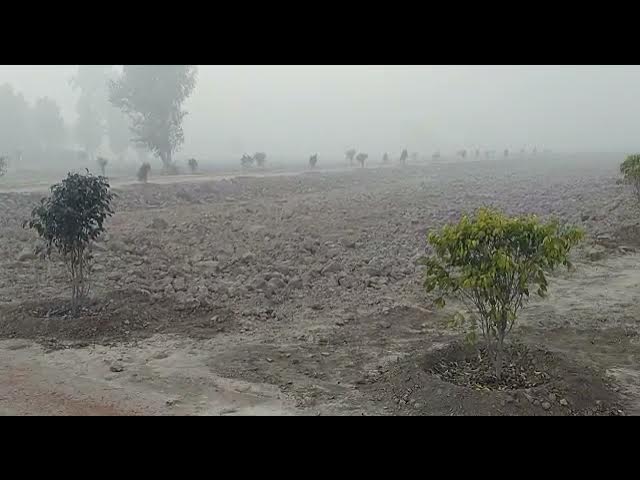 Shah Din Park  D Block Barki Road Lahore