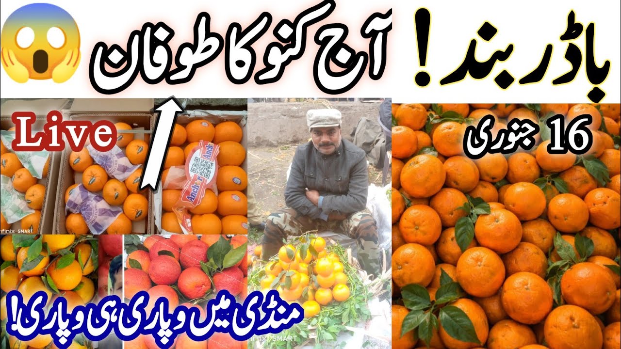 "Fruit Market Update in Lahore Badami Bagh| Fresh Fruit Rates Today|VIP Kino high Price | 16 Jan"