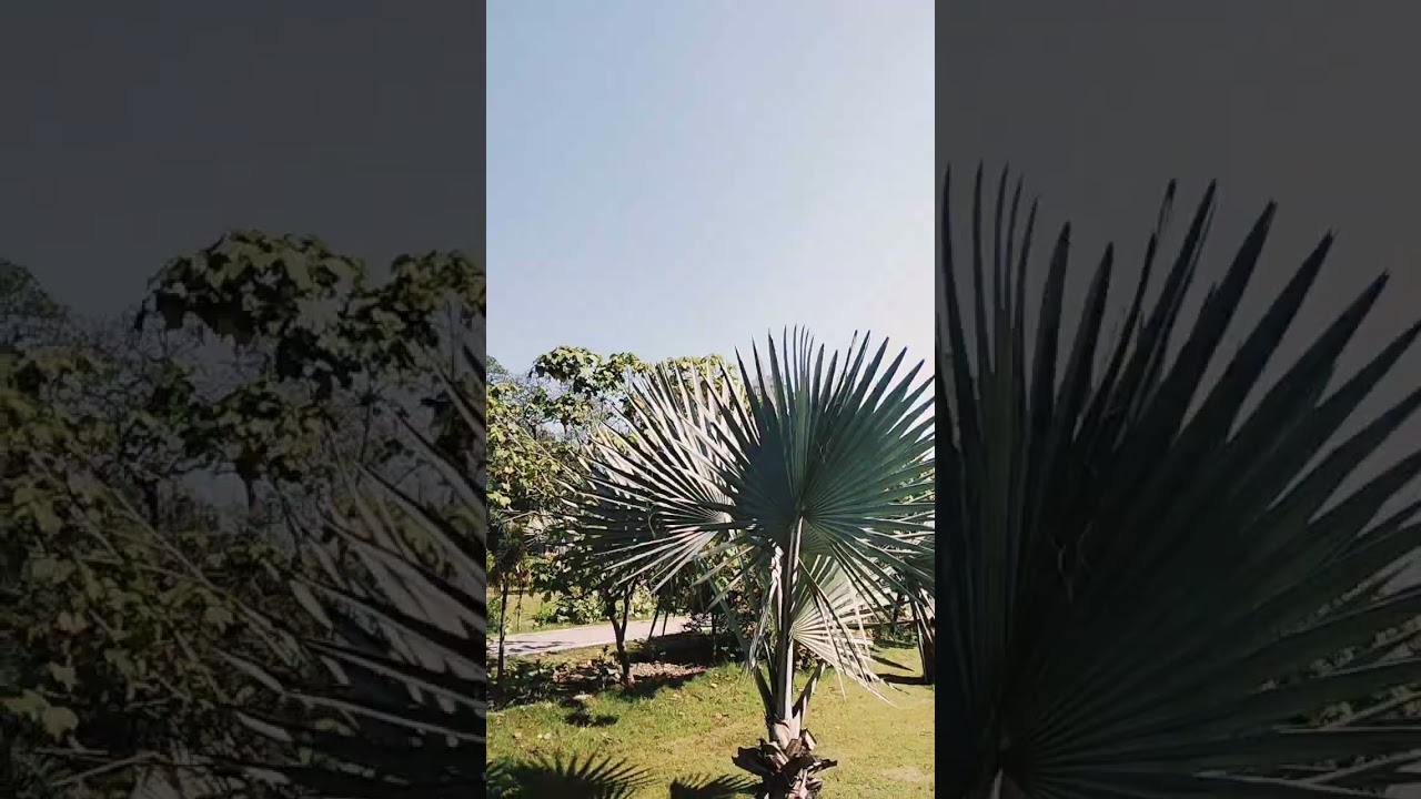 Motia Park GOR-5 Faisal Town Lahore - Part 2