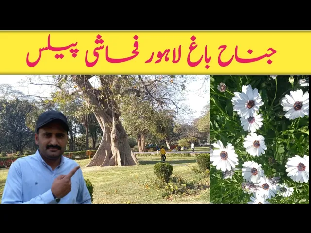Jinnah bagh lahore | Quaid e azam library bagh e jinnah lahore| lawrence garden lahore| MAJID VLOGS