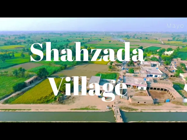Shahzada Village || A documentary Vedio on Village ||Beautiful Village in Punjab