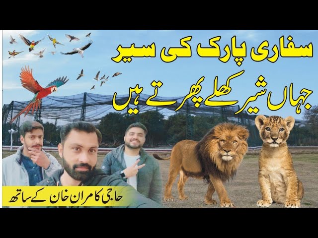 Zoo Safari Park Lahore | Amazing Place for Picnic | Lions Park |Full VLOG By Haji Kamran Khan