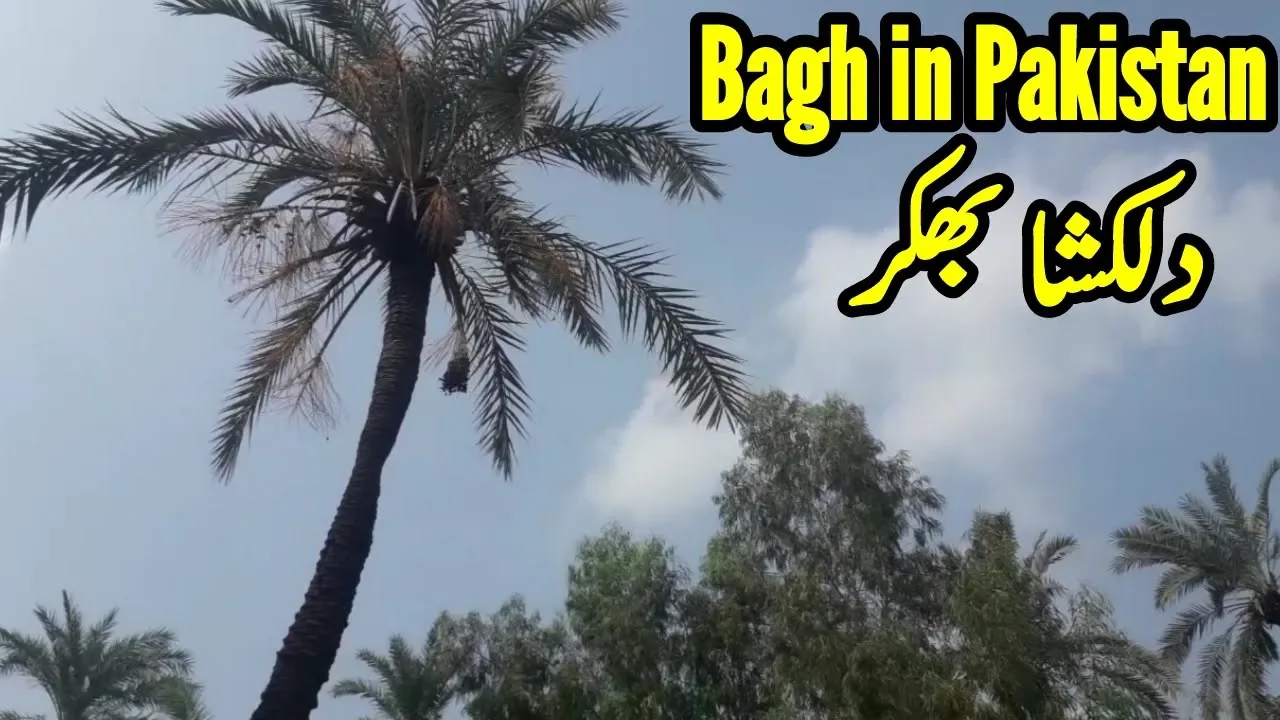 Bagh in Pakistan - dilkusha bagh bhakkar