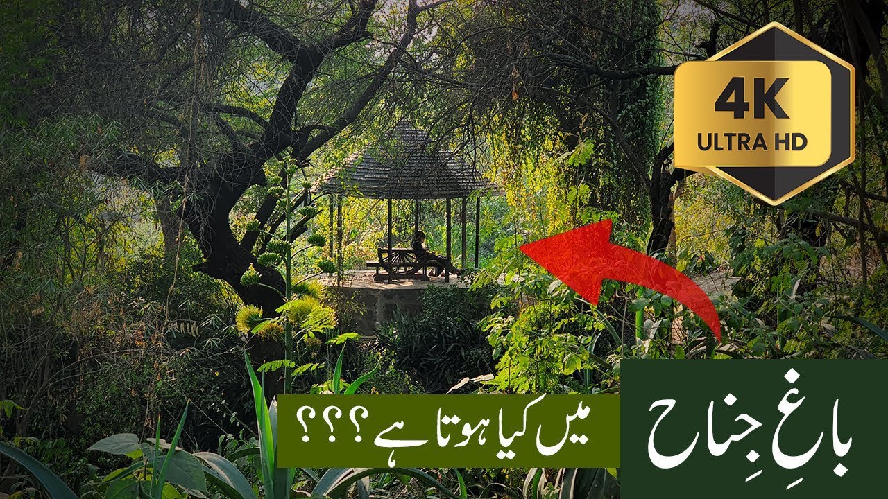 Bagh-e-Jinnah 4k | Lawrence garden | Jinnah Park Lahore | Bagh e Jinnah | Jinnah Bagh Lahore
