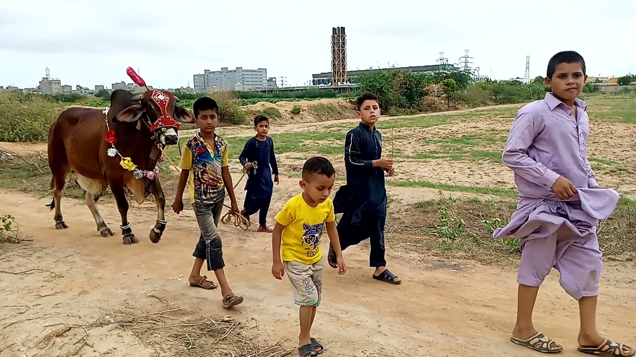 Awami colony azan & huzaifa with bull 2021