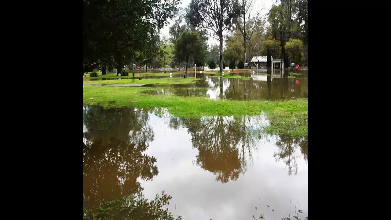 Stagnant water upsets Jinnah Colony: Residents extremely troubled