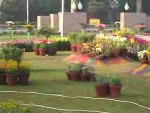 Flowers on 27 March 2008 Lahore in Park (Near Rahat Bakery)