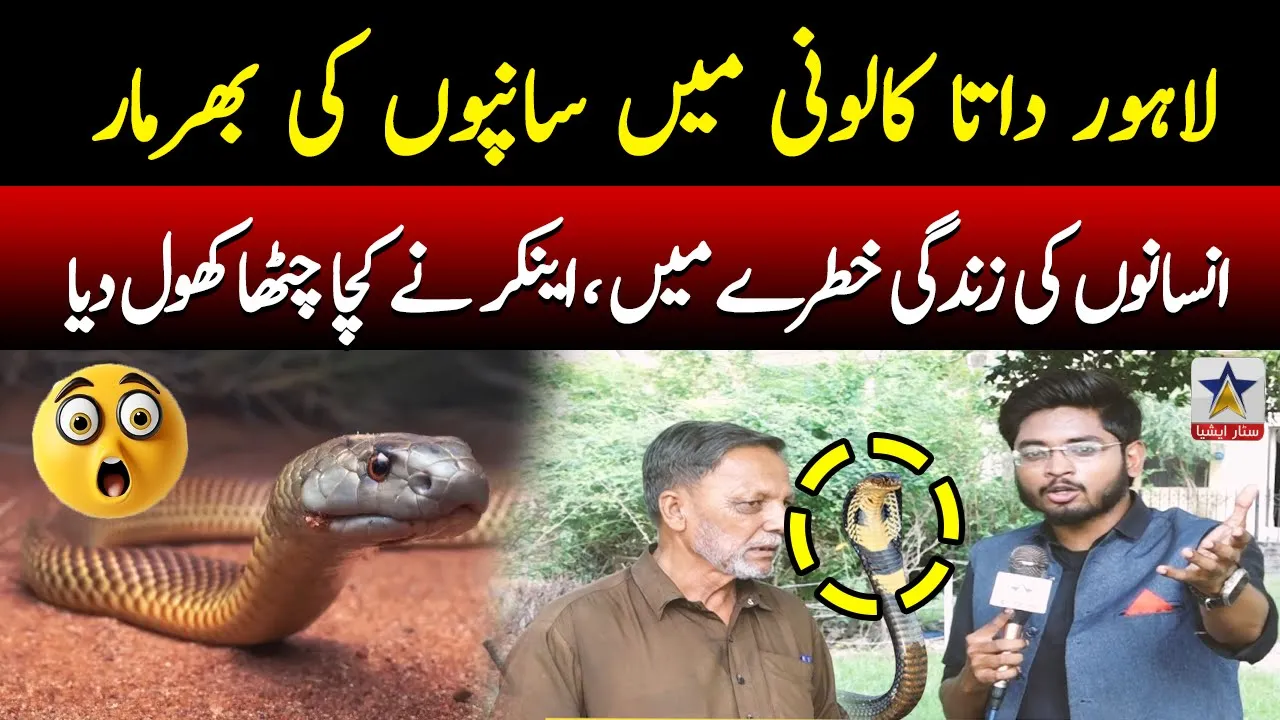 Snakes in Lahore Data Colony | Mujhey Jeena Hai | Star Asia Digital