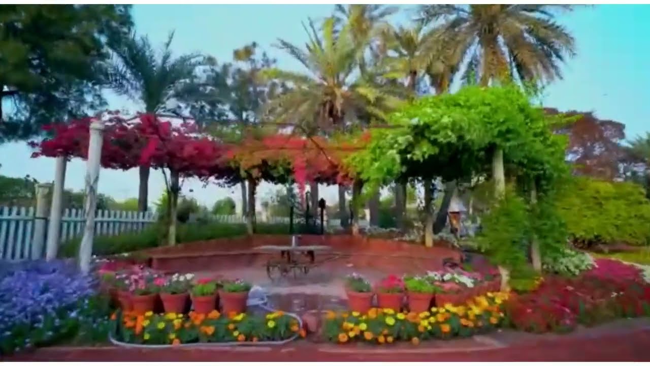 Spring in Lahore | Beautiful Lawns Chaudhary Tanveer Sahib’s House in Green Acres Lahore