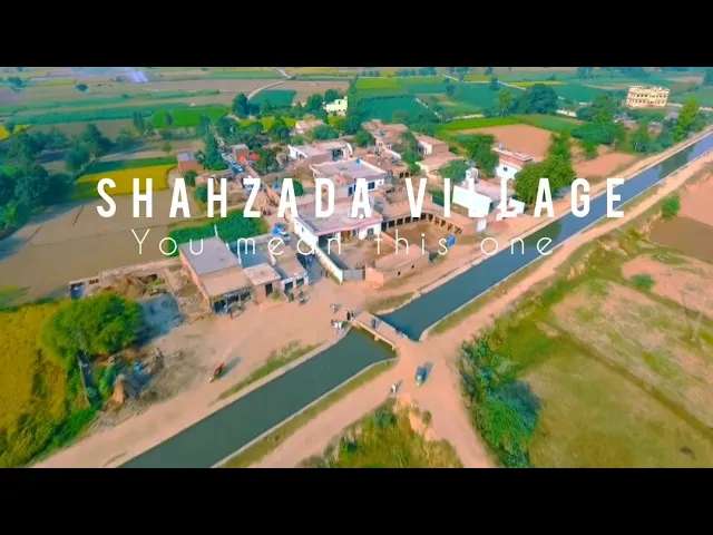 Shahzada Village ||  Status Vedio of Shahzada Village ||  #You mean this one