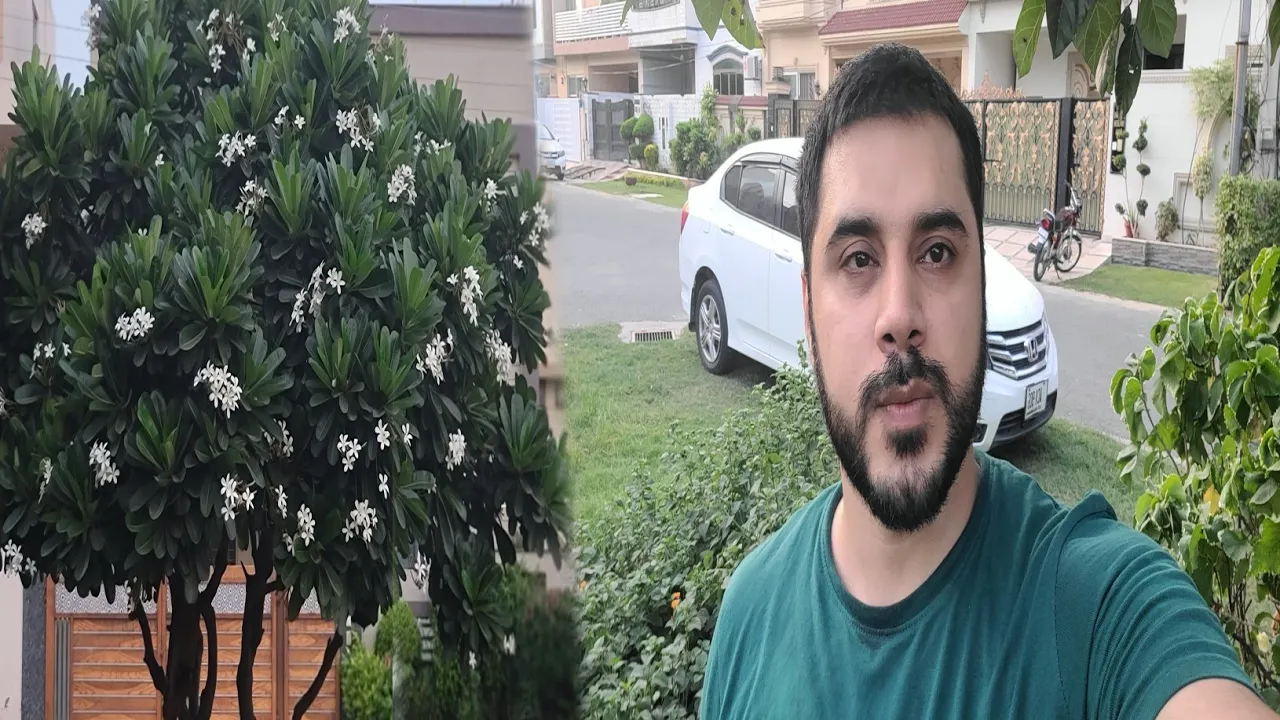 Short Visit of My Area (Tariq Garden) ??????