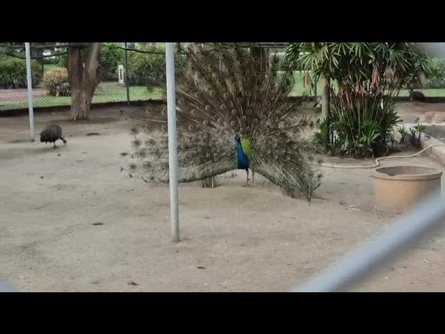 Sukh Chayn Gardens Lahore