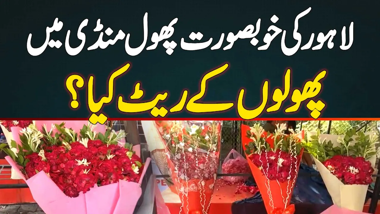 Flower Market Rates In Lahore Today | Beautiful Flower Market Tour